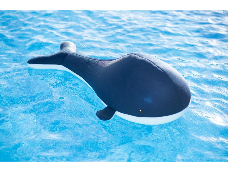 WESTMANN Pool Buddy WAL