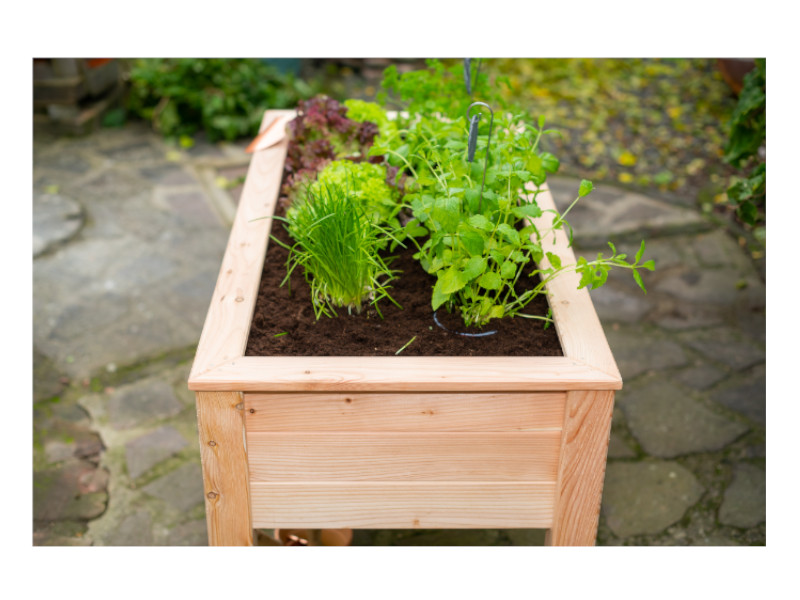 WESTMANN Stelzenhochbeet 120x65x75 cm natur