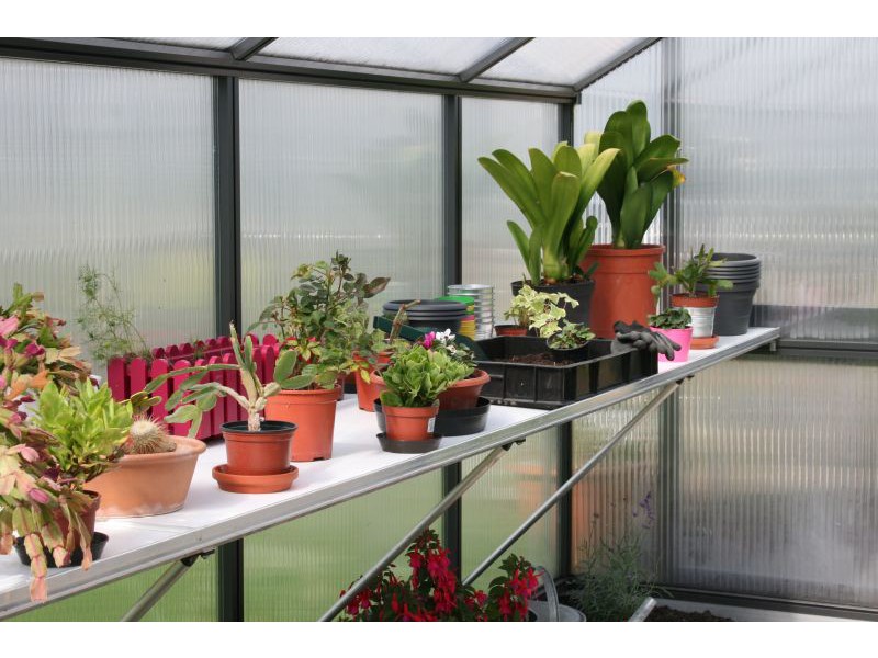 KGT Tischgestell für Gewächshaus Orchidee IV