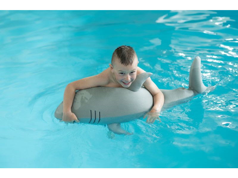 WESTMANN Pool Buddy HAI