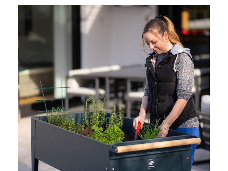 HERSTERA Kräuterfabrik SWIVEL 120x60x80 anthrazit