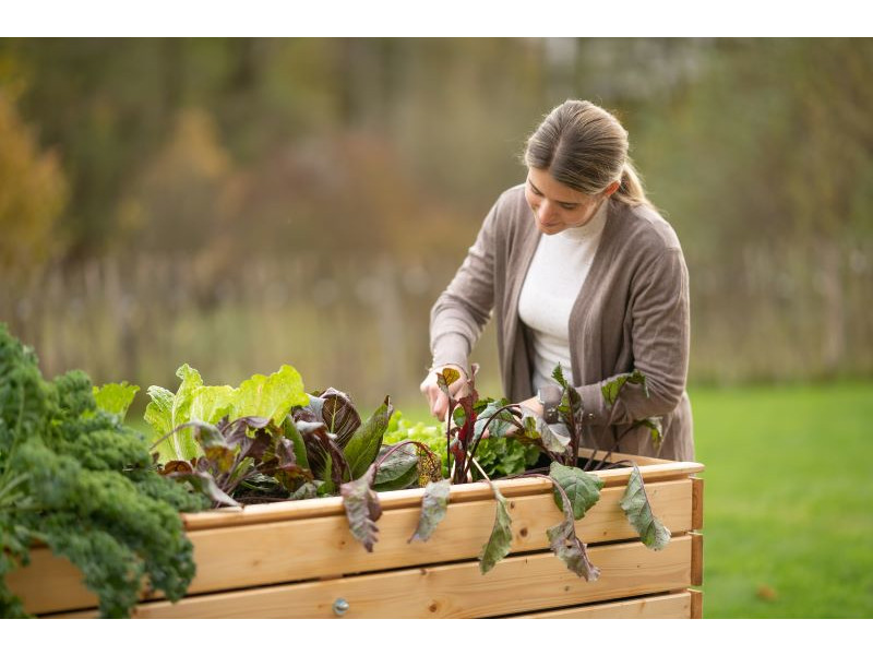 WESTMANN Hochbeet Fichte 160x70x90 cm natur