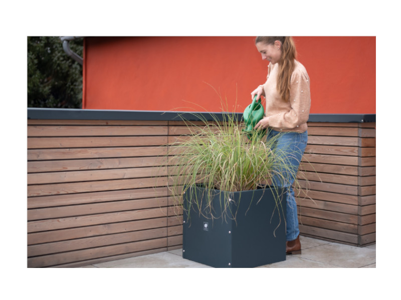 HERSTERA Pflanzgefäß Metall 50x50x50 anthrazit